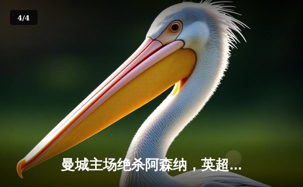 曼城主场绝杀阿森纳，英超争冠悬念再起 - 4